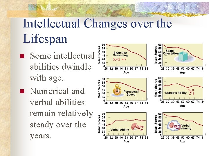 Intellectual Changes over the Lifespan n n Some intellectual abilities dwindle with age. Numerical