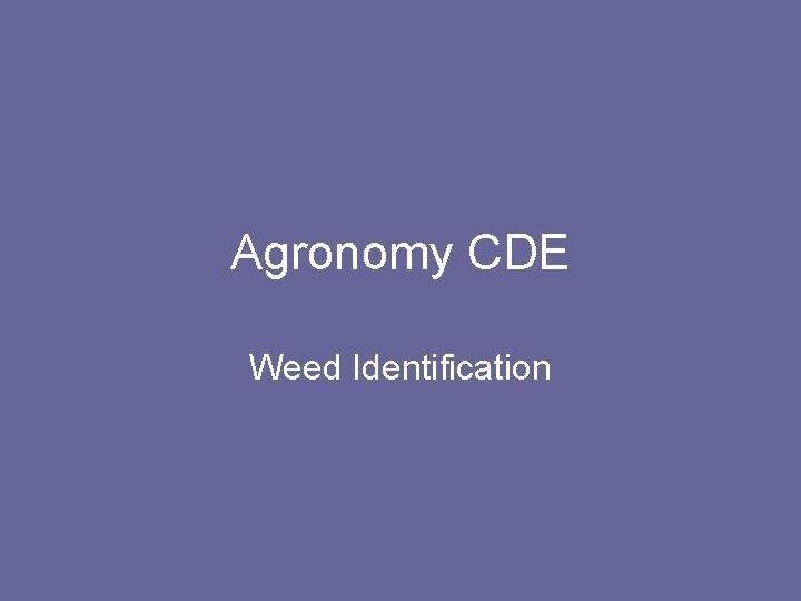 Agronomy CDE Weed Identification 