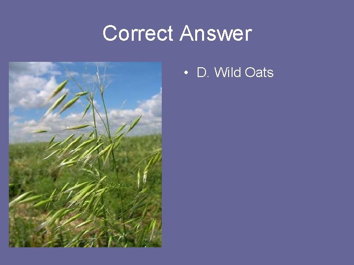 Correct Answer • D. Wild Oats 