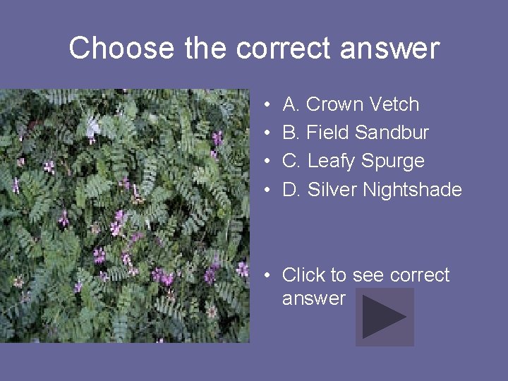 Choose the correct answer • • A. Crown Vetch B. Field Sandbur C. Leafy