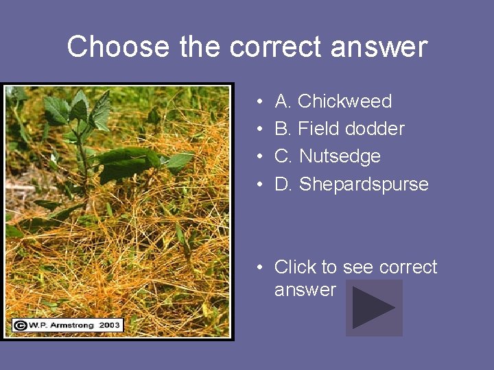 Choose the correct answer • • A. Chickweed B. Field dodder C. Nutsedge D.