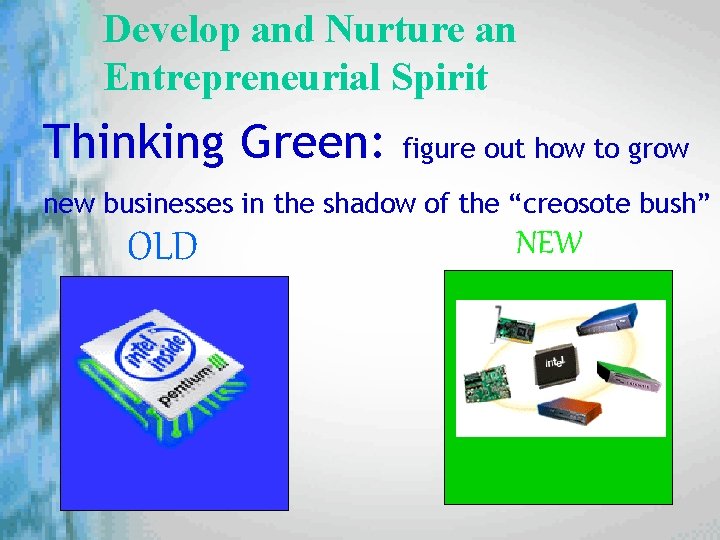 Develop and Nurture an Entrepreneurial Spirit Thinking Green: figure out how to grow new