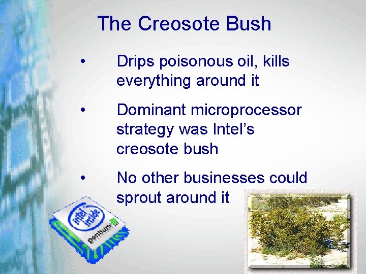 The Creosote Bush • Drips poisonous oil, kills everything around it • Dominant microprocessor