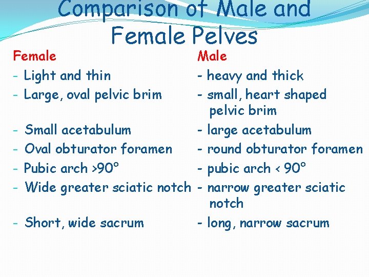 Comparison of Male and Female Pelves Female - Light and thin - Large, oval