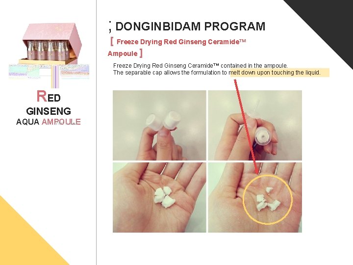 ; DONGINBIDAM PROGRAM [ Freeze Drying Red Ginseng Ceramide™ Ampoule ] Freeze Drying Red