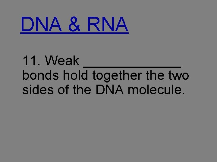 DNA & RNA 11. Weak _______ bonds hold together the two sides of the