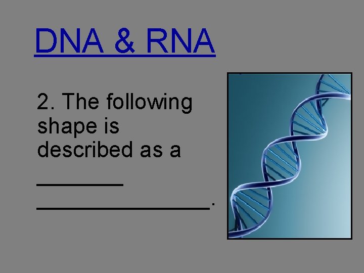 DNA & RNA 2. The following shape is described as a ______________. 
