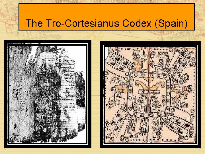 The Tro-Cortesianus Codex (Spain) 