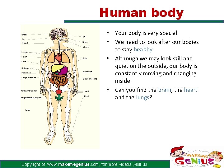 Human body • Your body is very special. • We need to look after