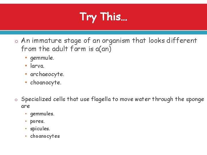 Try This… o An immature stage of an organism that looks different from the