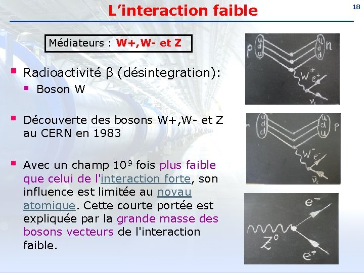 L’interaction faible Médiateurs : W+, W- et Z § Radioactivité β (désintegration): § Boson
