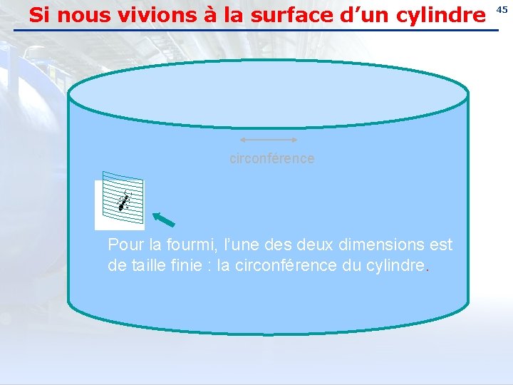 Si nous vivions à la surface d’un cylindre circonférence Pour la fourmi, l’une des