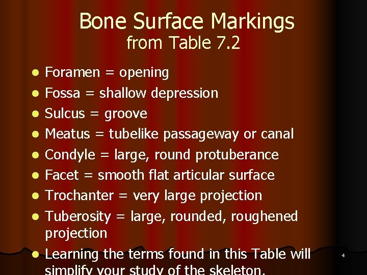 Bone Surface Markings from Table 7. 2 l l l l l Foramen =