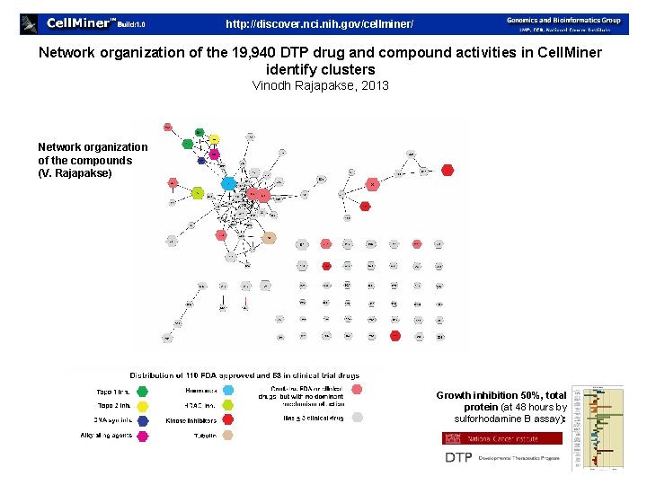 http: //discover. nci. nih. gov/cellminer/ Network organization of the 19, 940 DTP drug and