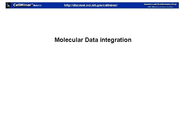 http: //discover. nci. nih. gov/cellminer/ Molecular Data integration 