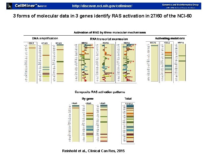 http: //discover. nci. nih. gov/cellminer/ 3 forms of molecular data in 3 genes identify