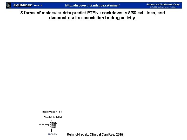 http: //discover. nci. nih. gov/cellminer/ 3 forms of molecular data predict PTEN knockdown in