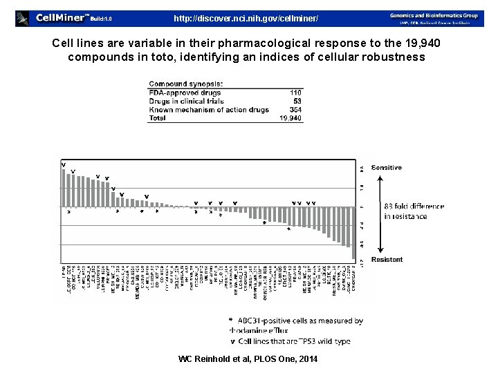 http: //discover. nci. nih. gov/cellminer/ Cell lines are variable in their pharmacological response to