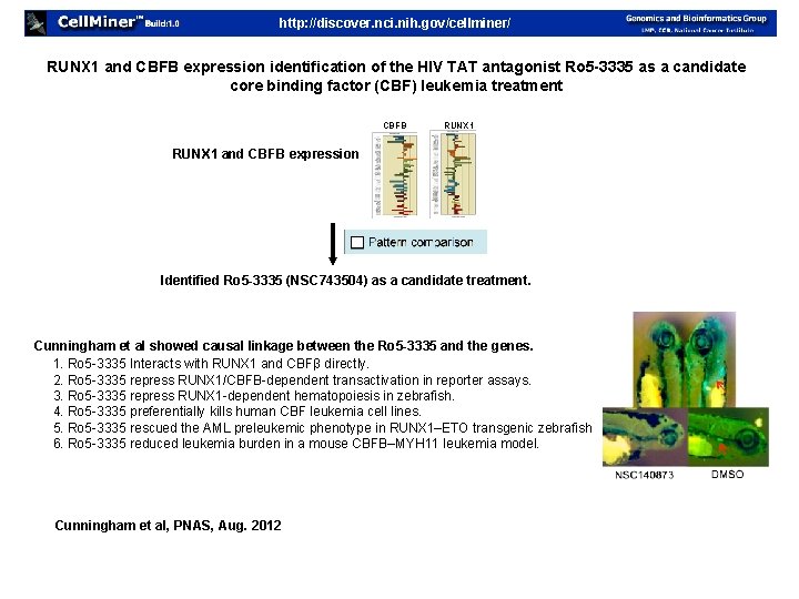 http: //discover. nci. nih. gov/cellminer/ RUNX 1 and CBFB expression identification of the HIV