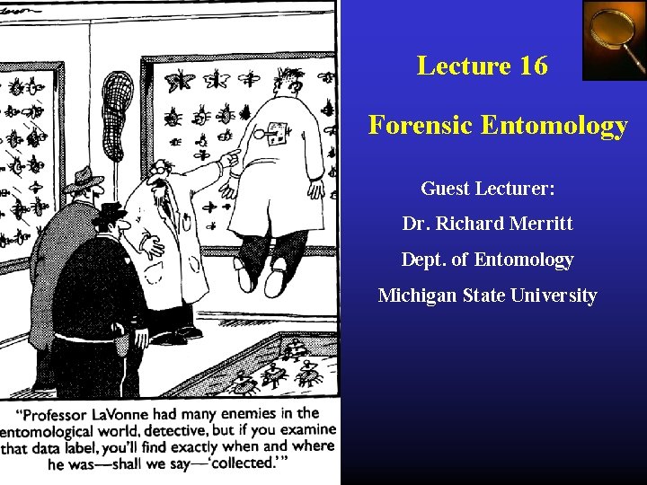 Lecture 16 Forensic Entomology Guest Lecturer: Dr. Richard Merritt Dept. of Entomology Michigan State