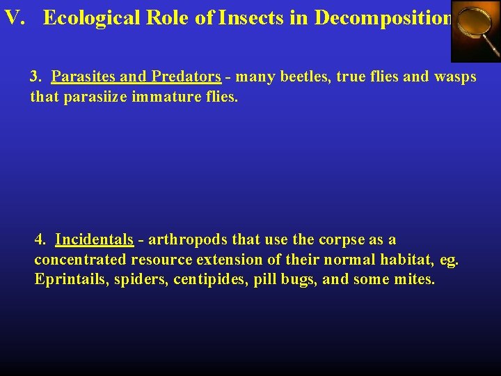 V. Ecological Role of Insects in Decomposition 3. Parasites and Predators - many beetles,