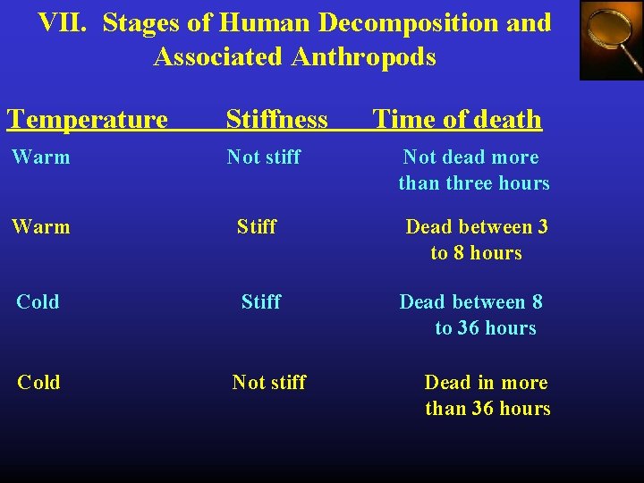 VII. Stages of Human Decomposition and Associated Anthropods Temperature Stiffness Warm Not stiff Warm