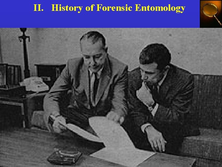 II. History of Forensic Entomology 