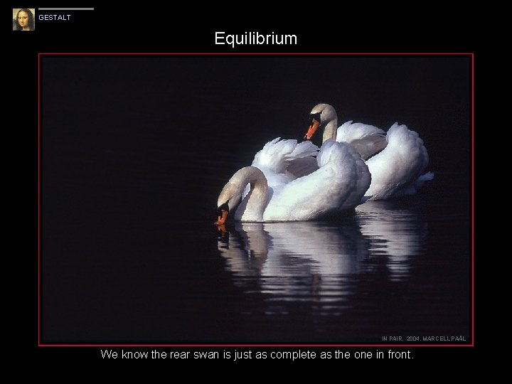 GESTALT Equilibrium IN PAIR, 2004, MARCELL PAÅL We know the rear swan is just