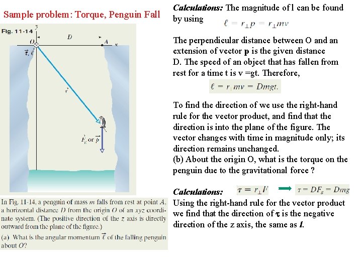 Sample problem: Torque, Penguin Fall Calculations: The magnitude of l can be found by