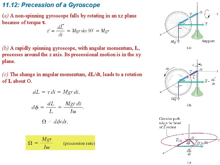 11. 12: Precession of a Gyroscope (a) A non-spinning gyroscope falls by rotating in