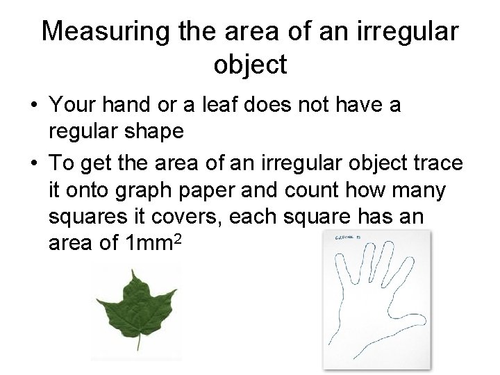 Measuring the area of an irregular object • Your hand or a leaf does