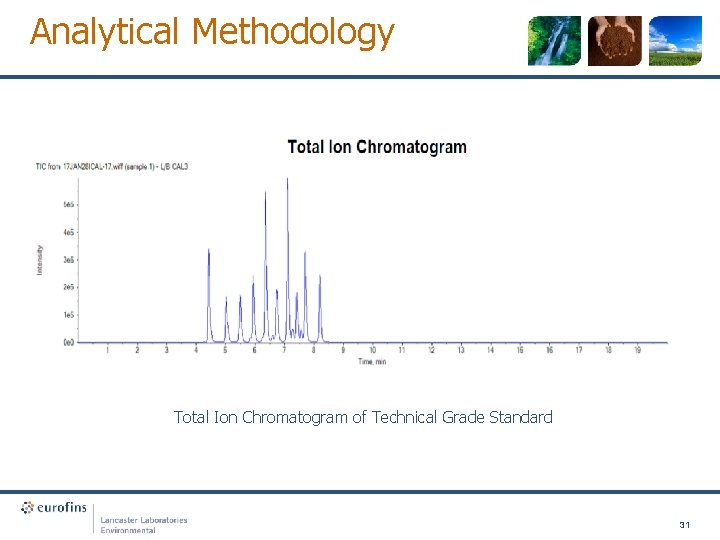 Analytical Methodology Total Ion Chromatogram of Technical Grade Standard 31 