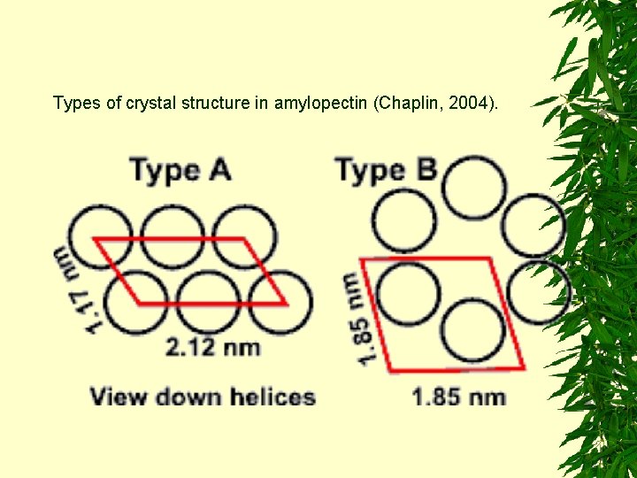 Types of crystal structure in amylopectin (Chaplin, 2004). 