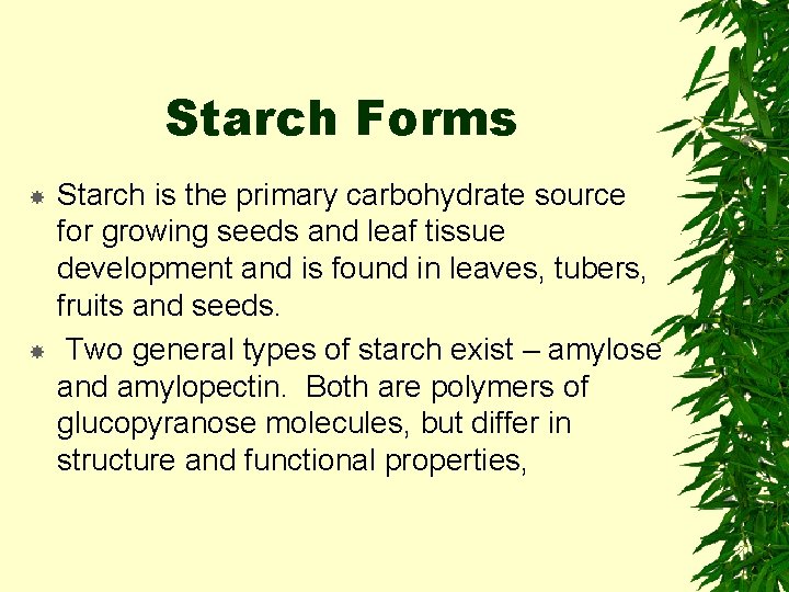 Starch Forms Starch is the primary carbohydrate source for growing seeds and leaf tissue