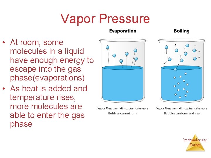 Vapor Pressure • At room, some molecules in a liquid have enough energy to