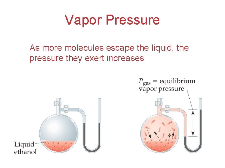 Vapor Pressure As more molecules escape the liquid, the pressure they exert increases Intermolecular