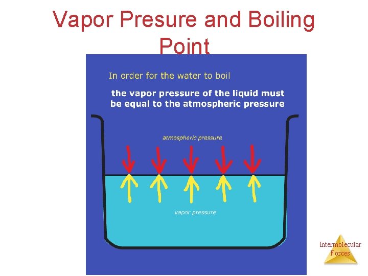 Vapor Presure and Boiling Point Intermolecular Forces 