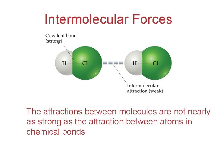 Intermolecular Forces The attractions between molecules are not nearly as strong as the attraction