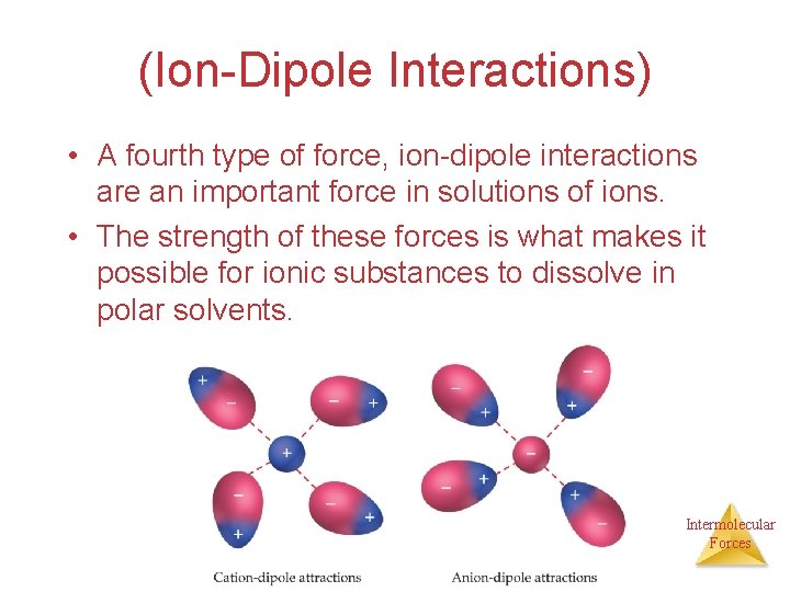 (Ion-Dipole Interactions) • A fourth type of force, ion-dipole interactions are an important force