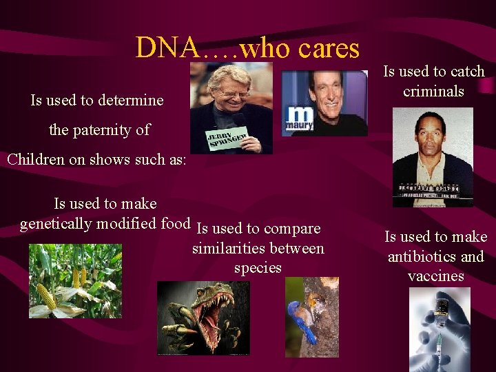 DNA…. who cares Is used to determine Is used to catch criminals the paternity