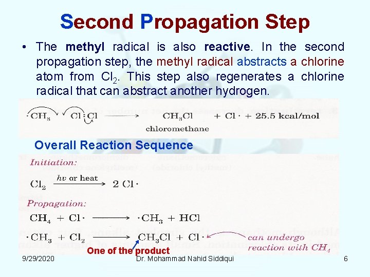 Second Propagation Step • The methyl radical is also reactive. In the second propagation