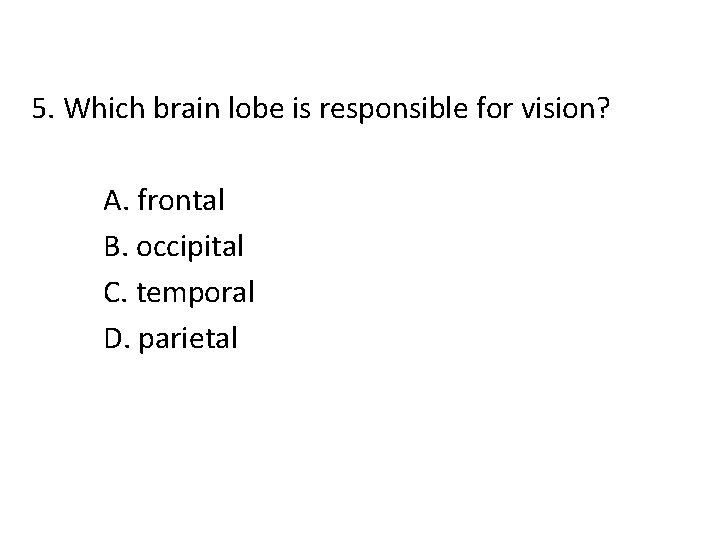 5. Which brain lobe is responsible for vision? A. frontal B. occipital C. temporal