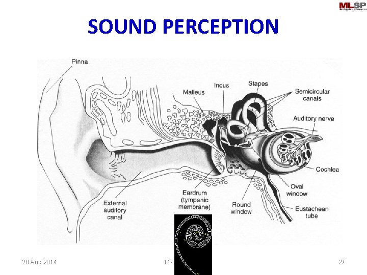 SOUND PERCEPTION 28 Aug 2014 11 -755/18 -797 27 