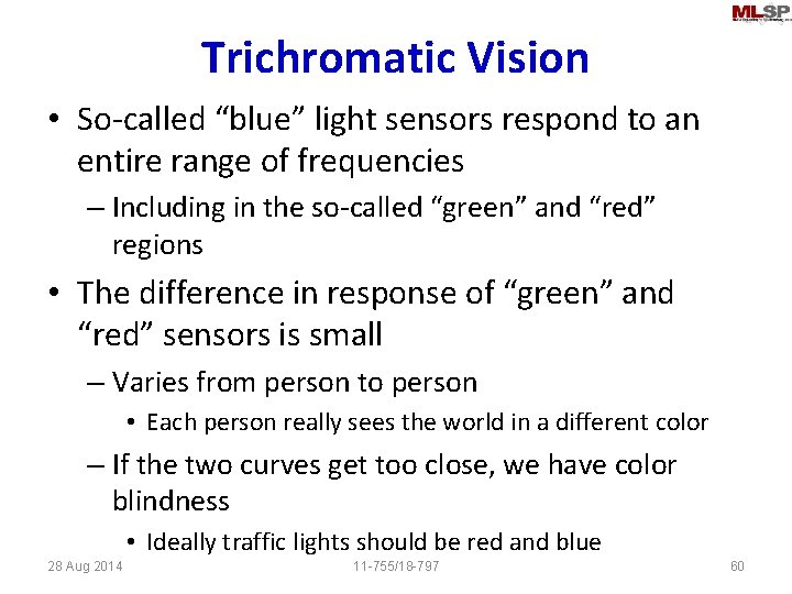 Trichromatic Vision • So-called “blue” light sensors respond to an entire range of frequencies