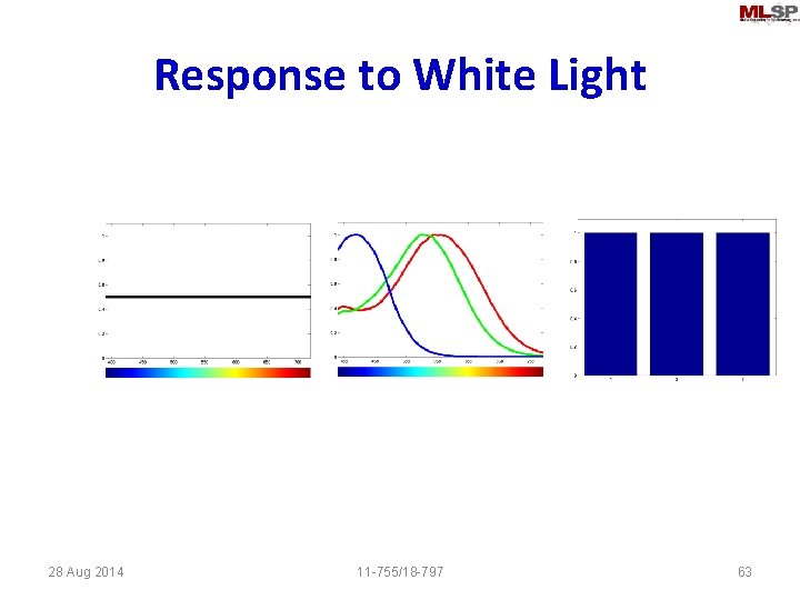 Response to White Light 28 Aug 2014 11 -755/18 -797 63 