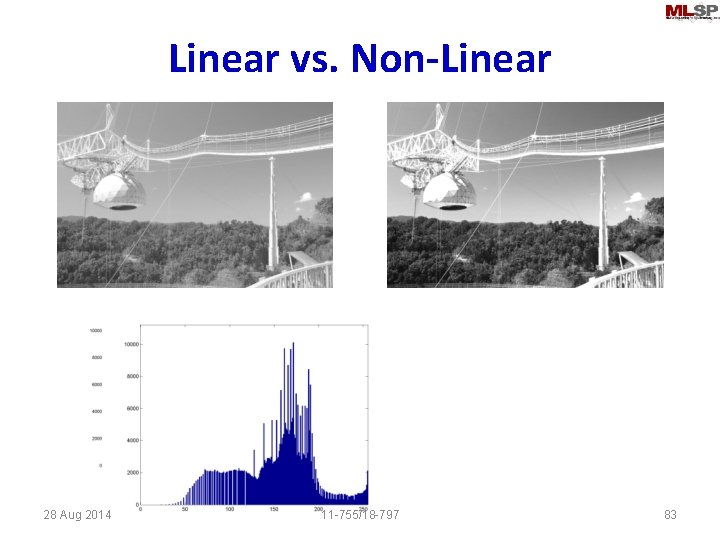 Linear vs. Non-Linear 28 Aug 2014 11 -755/18 -797 83 