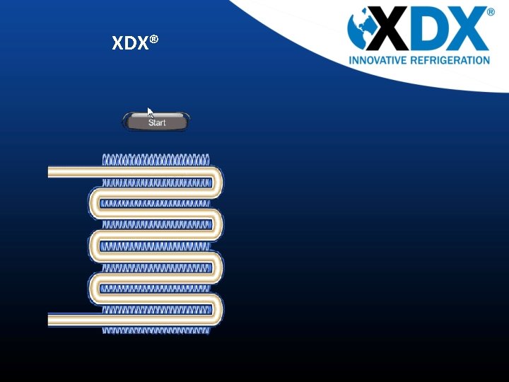 XDX® 