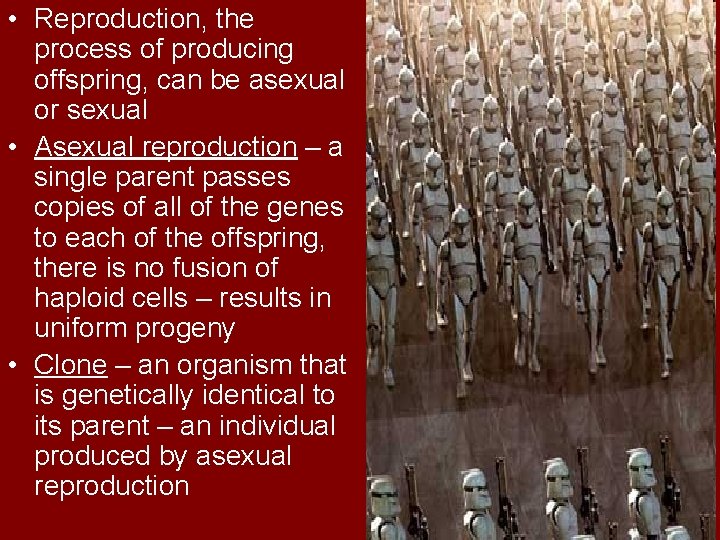  • Reproduction, the process of producing offspring, can be asexual or sexual •