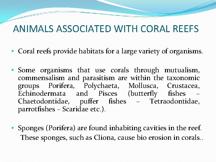 ANIMALS ASSOCIATED WITH CORAL REEFS • Coral reefs provide habitats for a large variety