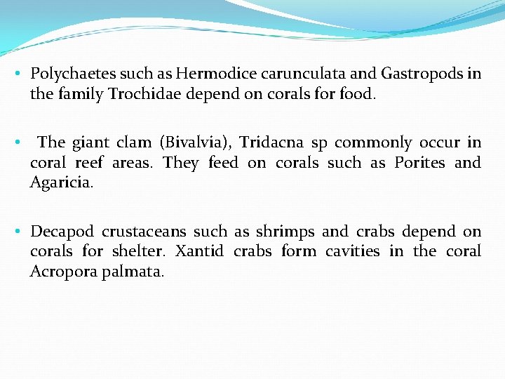  • Polychaetes such as Hermodice carunculata and Gastropods in the family Trochidae depend